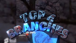 TOP 4 BRANCHES  A Comp Taggers Montage [upl. by Bernadina]