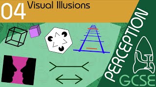 Visual Illusions  Perception GCSE Psychology AQA [upl. by Ilarrold]