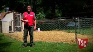 How to Prevent and Treat Coccidiosis in Chickens  Chicken Care  Tractor Supply Co [upl. by Sands]