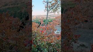 Cleburne State Park Fall Color Change Part 1 [upl. by Sherborn]