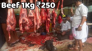 250 രൂപക്ക് ഒരു കിലോ ബീഫ്  Beef market in Kerala  Meat Market in Kerala  Beef  Meat  mutton [upl. by Asiela]