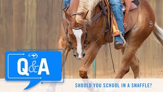 Should You School a Finished Horse in a Snaffle  QampA With Clinton Anderson [upl. by Ennovihs]