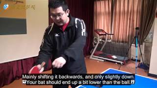 Looping Backspin With Long Pips Eng Sub [upl. by Mervin]