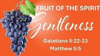 Fruit of the Spirit  Gentleness by Pastor Tim Maynard Oct 6 2024 Galatians 52223Matt 55 [upl. by Nilyram]