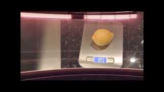 Stainless Steel Kitchen Scale [upl. by Nottus]