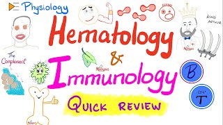 Review of Blood Physiology and the Immune System Immunology and Hematology [upl. by Ateloiv971]