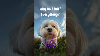 My AI Dog Reveals Why He Sniffs Everything [upl. by Serafine]