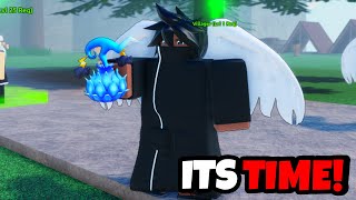 NEW One Piece Roblox Game TODAY [upl. by Aneeres]