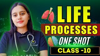 life processes class 10 biology  full video one shot [upl. by Ardith]