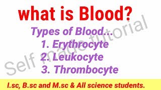 what is blood composition plasma amp corpuscles [upl. by Chandra347]