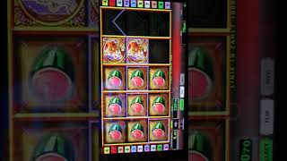 Da geht was Geile Freispiele am Automaten freispiele gambling jackpot casino slotmachine [upl. by Nitin272]