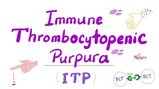 Immune Thrombocytopenia ITP — Most COMPREHENSIVE Explanation — Hematology [upl. by Eselahs]