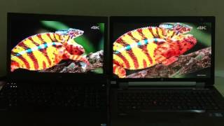 Dell M4800 4k igzo vs 8770w Dreamcolor [upl. by Yur]