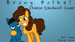 Brony Polka  Cheese Sandwich Cover [upl. by Arleyne658]