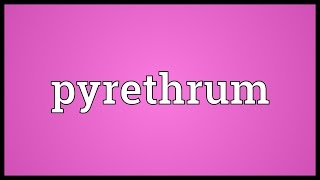 Pyrethrum Meaning [upl. by Netsrik617]