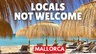 Privatisation by Stealth of Mallorca’s Beaches  SHOCKING prices here [upl. by Eahs335]