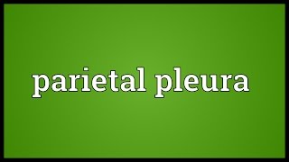 Parietal pleura Meaning [upl. by Inalaehon]