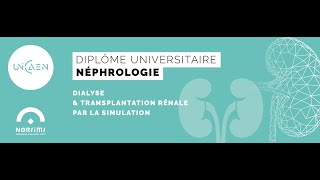 Diplôme universitaire de néphrologie dialyse transplantation par la simulation [upl. by Landau845]