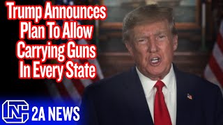 Trump Announces Plan To Allow Carrying Guns In Every State [upl. by Eelrac]