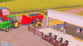 taking care of the holstein heifers  IOWA DAIRY  FS22 [upl. by Ardrey815]