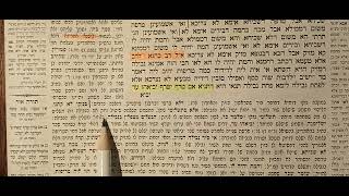 37 Daf י Le Talmud Guemara Rachi Expliqué en Français Baba Kama [upl. by Aihceyt]