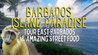 Episode 7 East Barbados and Caribbean Street food [upl. by Irama799]