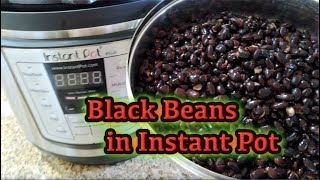 Making Black Beans in Instant Pot  Cách làm đậu đen trong nồi Instant Pot  208 [upl. by Enilhtak]