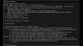 Flutter latest Version 220 Error After Upgrade  flutter doctor androidlicenses Error  Flutter [upl. by Gotcher57]