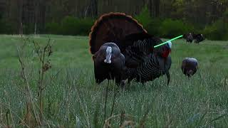 Spring Turkey Hunting  Ohio 2023 [upl. by Ahlgren]