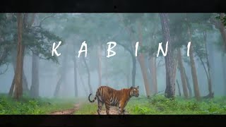 KABINI  The Land of Leopards [upl. by Iron]