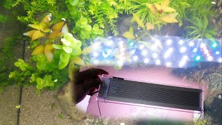 HEPO led aquarium light quotcheap but effective lightquot [upl. by Keverian945]