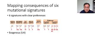 Protein structural consequences of DNA mutational  Joseph Ng  VarI  Talk  ISMBECCB 2021 [upl. by Adamson173]