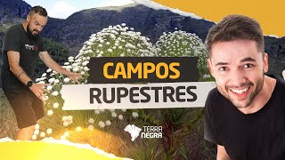 Campos Rupestres com professores de Geografia e Biologia [upl. by Akire]