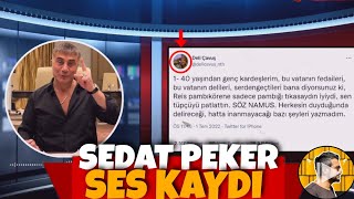 Sedat Peker Sesli Twitter Serisi 1 Pambıkören  1 Temmuz [upl. by Anaytat]