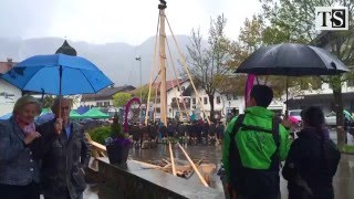 Maibaum 2016 in RottachEgern [upl. by Yunick]