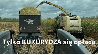 AKCJA KUKURYDZA NA DUŻĄ SKALE KRONE BIG X600 3 x VALTRA 2 x FENDT John Deere FLIEGL [upl. by Irtemed]