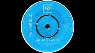 The Tremeloes  Suddenly You Love Me Dans 2024 Stereo 45 Mix [upl. by Dolora]