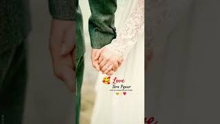 Main jis din bhula du Tera pyar Dil se love song hindi 💞🥰🥰💖 [upl. by Eitirahc]