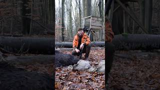 Drückjagd im Wunderwald Neuer Film online 🎬HOD hunting jagd hunter sauen drückjagd [upl. by West]