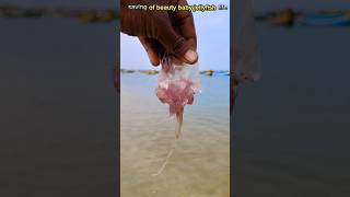 saving of beauty baby jellyfish returned to their home abhifishinglife shorts [upl. by Aicaca]