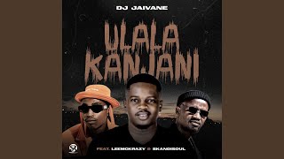 uLala Kanjani feat LeeMcKrazy amp Skandisoul [upl. by Eiggam146]