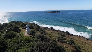 Dolphins at Fingal Head  Tweed Shire NSW [upl. by Hildagard]