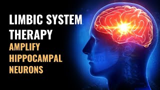 Limbic System  Amplify Hippocampal Neurons  Regulation of Autonomic Nervous System  528 Hz [upl. by Aguayo]