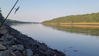 Striped Bass fishing Cape Cod Canal [upl. by Ydnim407]