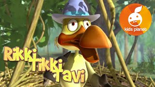 RIKKI TIKKI TAVI Episode 6  cartoons for kids  stories for children  Jungle book by R Kipling [upl. by Ahsercul]