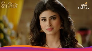 Naagin S1  नागिन S1  Sesha Learns A Shocking Truth [upl. by Schwing]