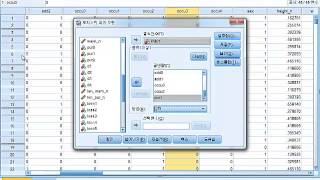 IBM SPSS Statistics를 활용한 로지스틱 회귀모형 분석 [upl. by Aserej]