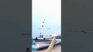 Grosir Pasar Ikan Kedonganan Bali shorts youtubeshorts fyp foryou [upl. by Cati463]