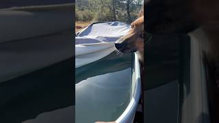 OffGrid Life Hack  300 Wood Fired Hot Tub w Epsom Salts and d Essential Oils diy hot tub [upl. by Airyk]