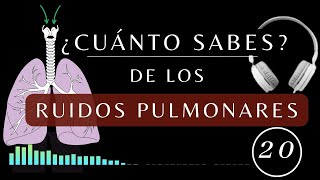 Los Ruidos Pulmonares  TEST DE AUSCULTACIÓN PULMONAR anormales fisiologia medicina [upl. by Atileda]